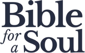 Bible for a Soul