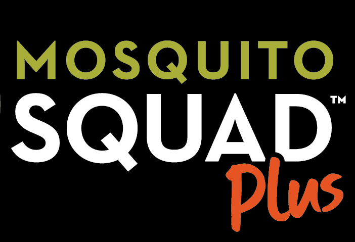 Mosquito Squad