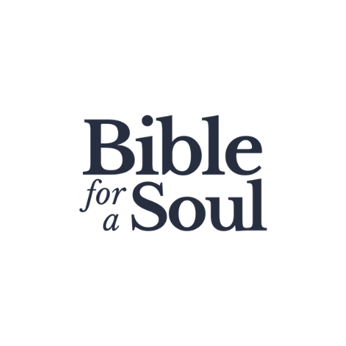 Bible for a Soul
